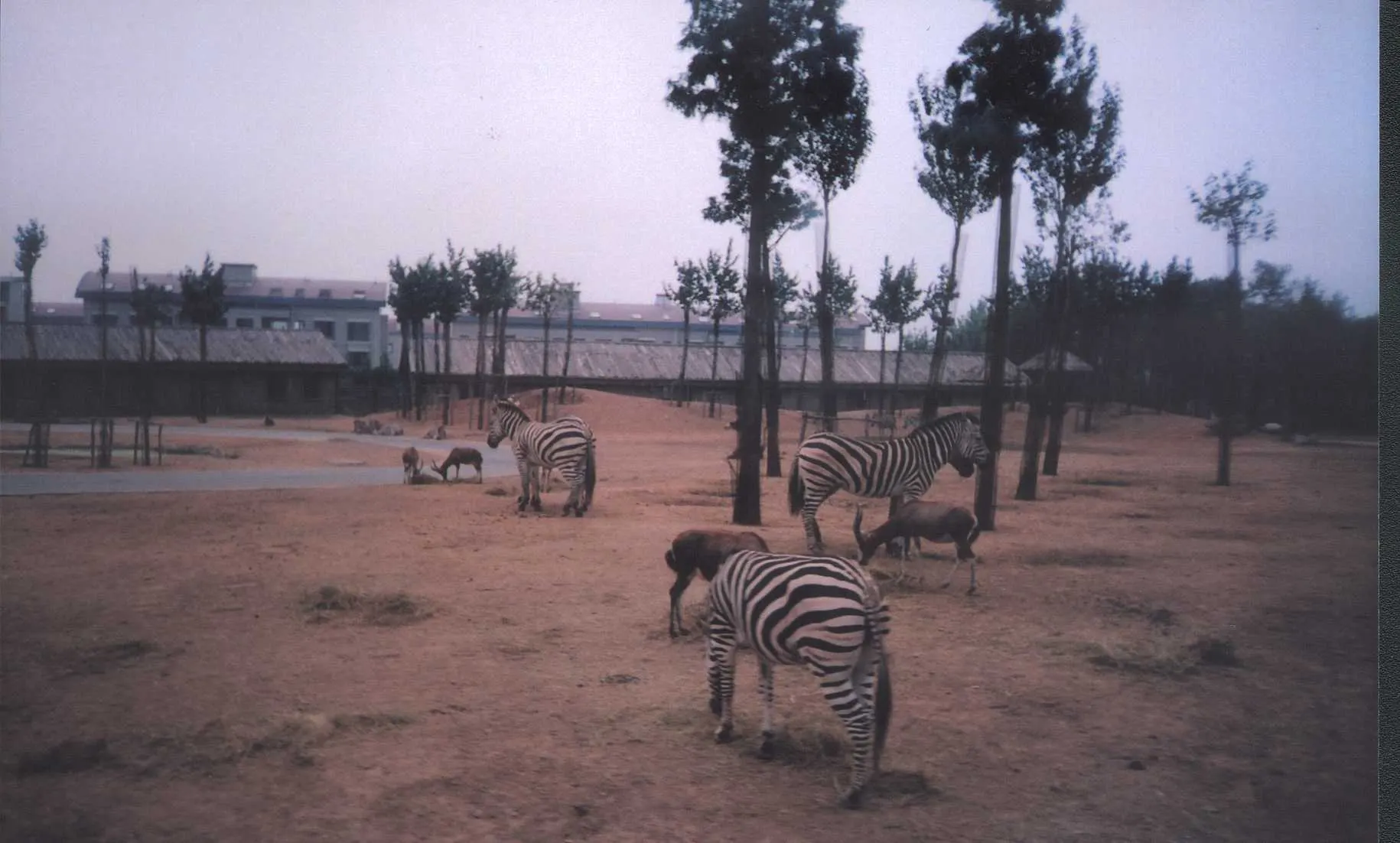 Dalian Forest Zoo (Da Lian Sen Lin Dong Wu Yuan)