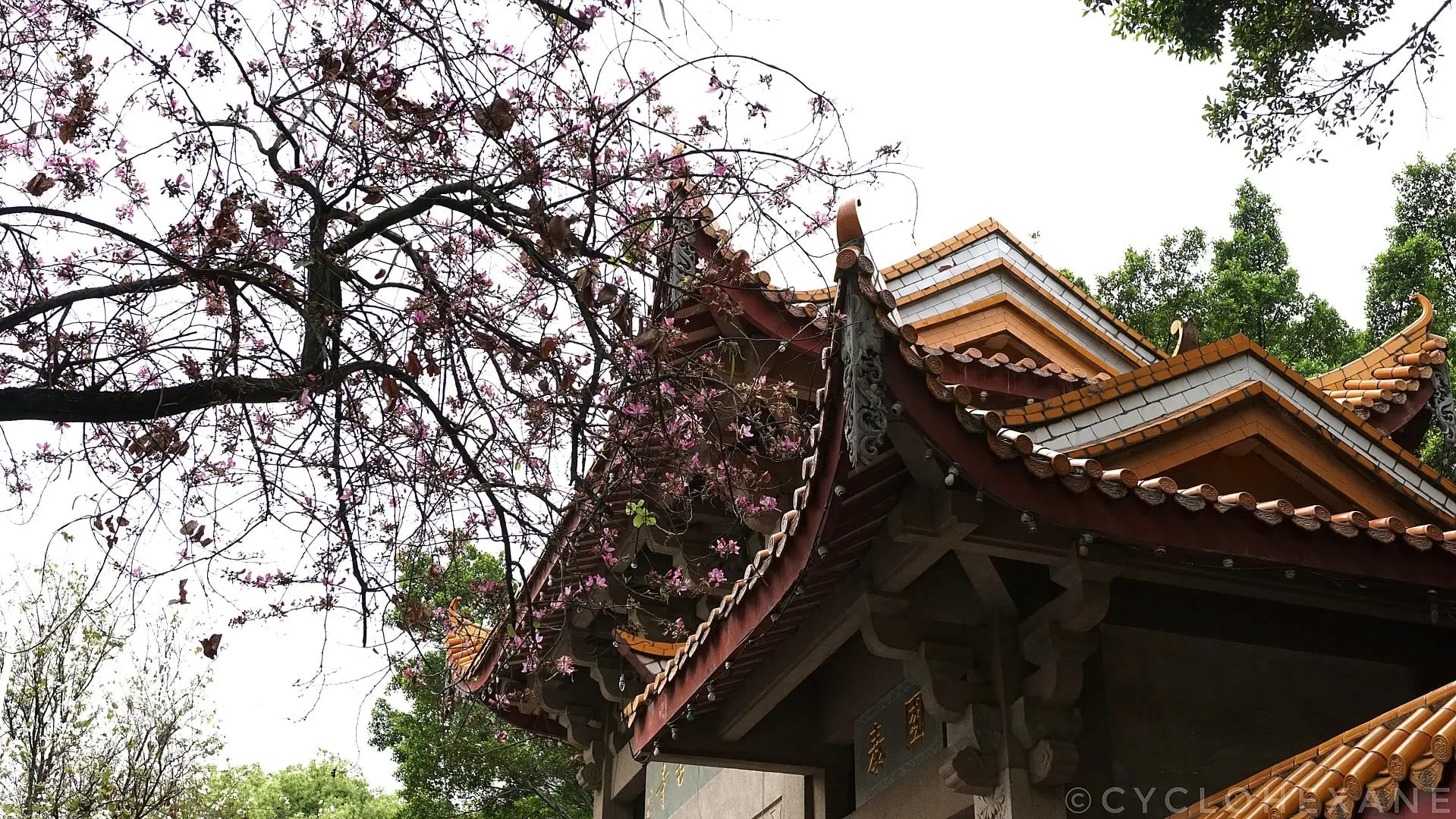 Xichan Temple (西禅寺)
