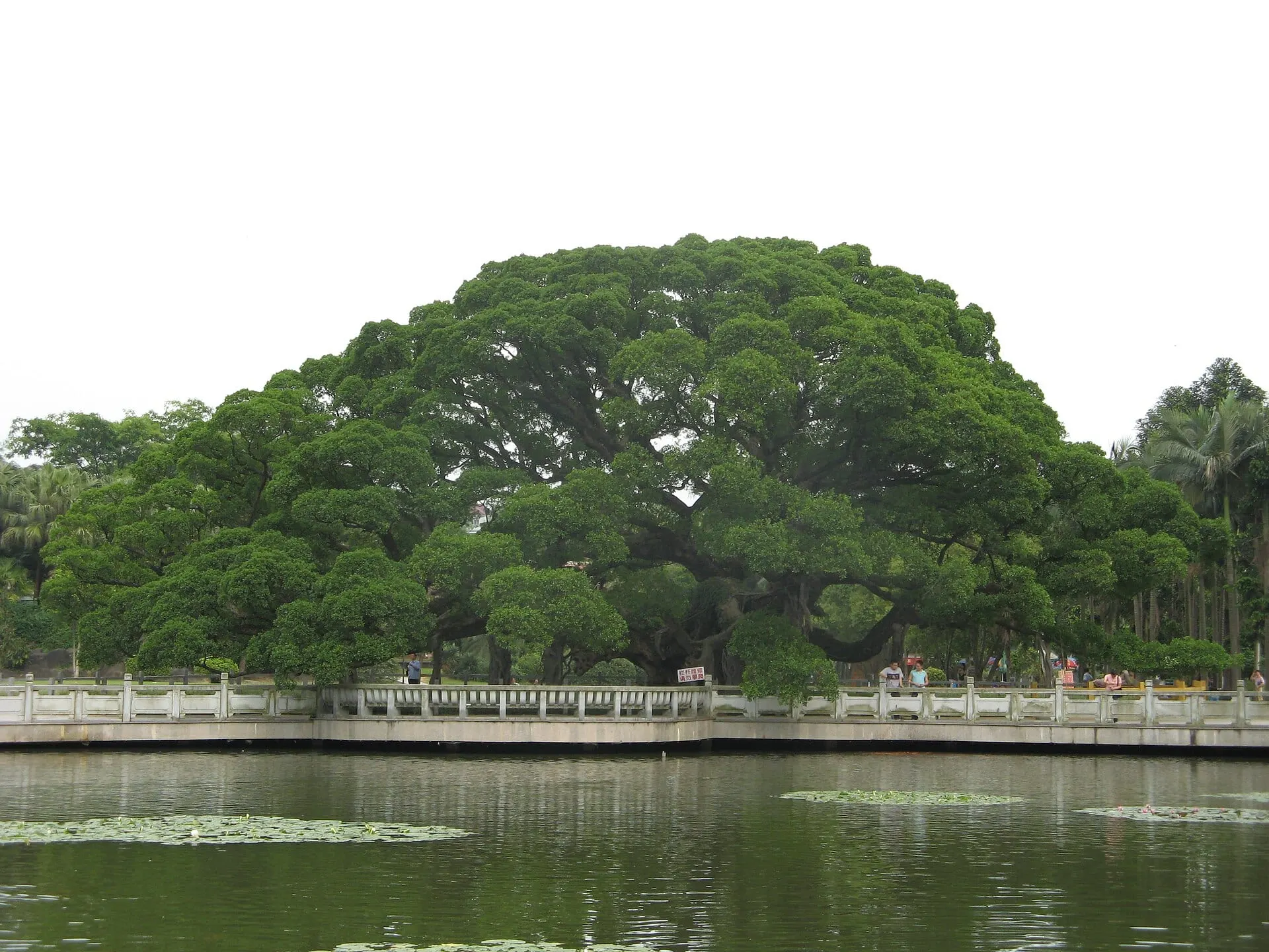 Fuzhou National Forest Park / Gushan (鼓山)