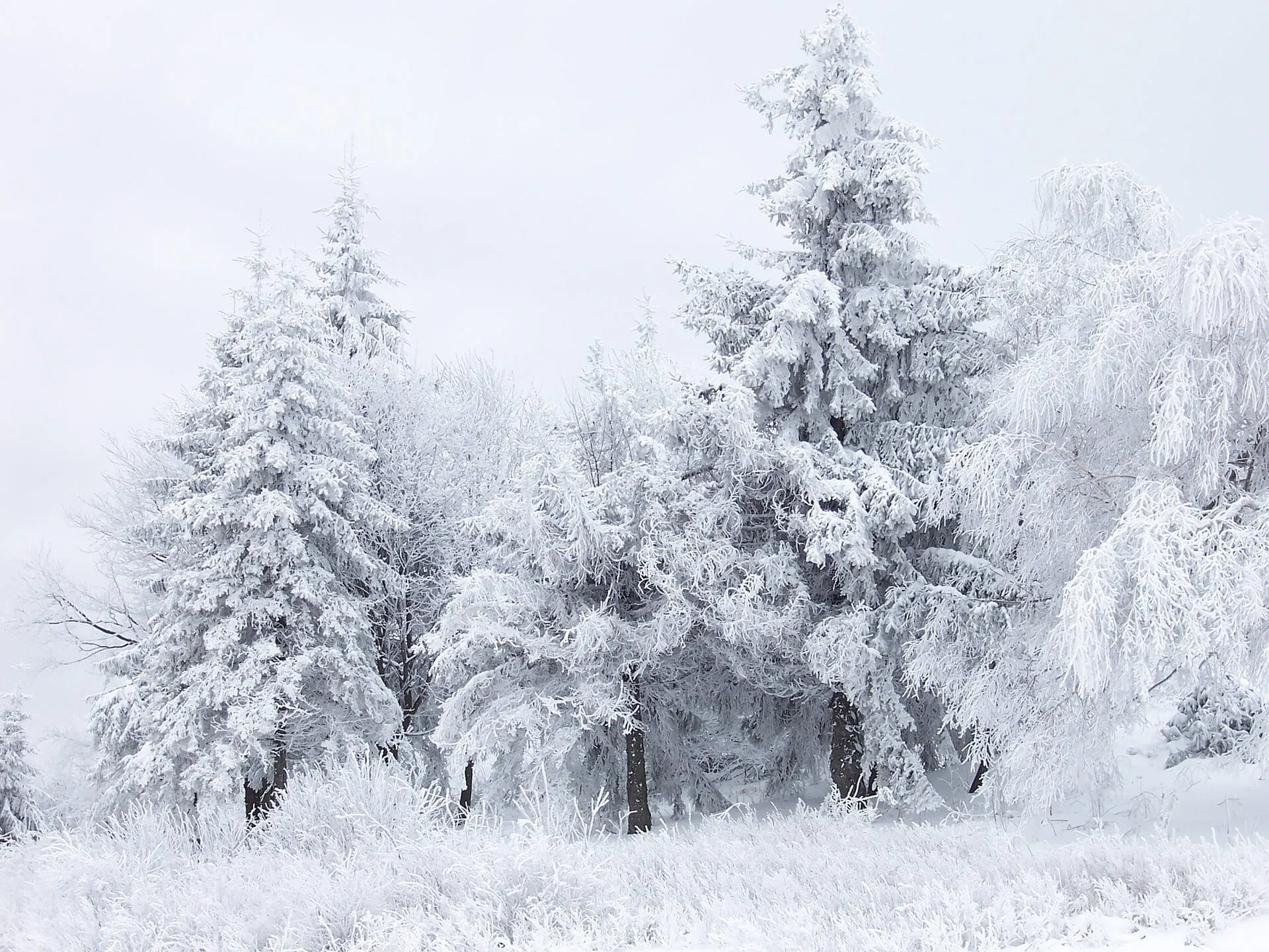Ice and Snow World (冰雪大世界)