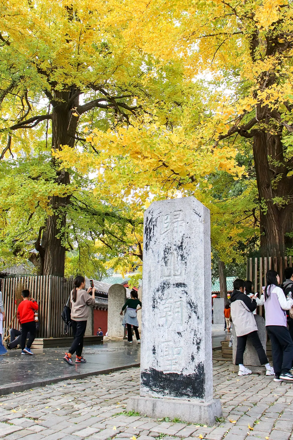 Shaolin Temple (少林寺)