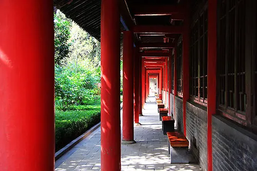 Forest of Steles (碑林博物馆)