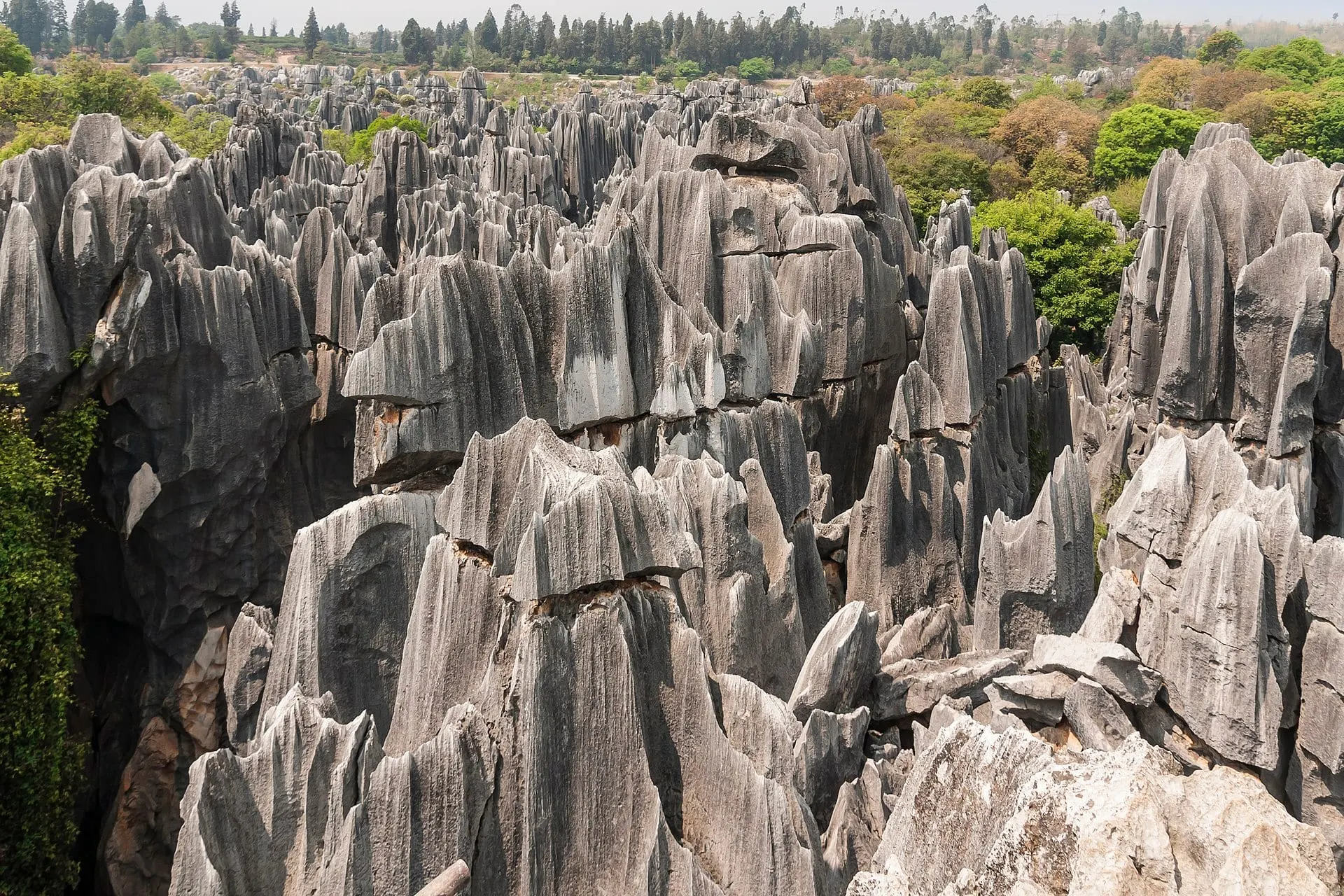 Stone Forest (Kunming)